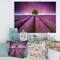 Designart - Stunning Lavender Field Summer Sunset With Tree - Farmhouse Canvas Wall Art Print